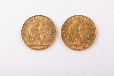 deux pièces d'or posées sur une surface blanche, dont l'une représente un cheval et l'autre