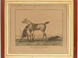 une vieille photo représentant un cheval et un homme dans un champ