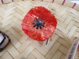 a red flower sitting on top of a wooden table