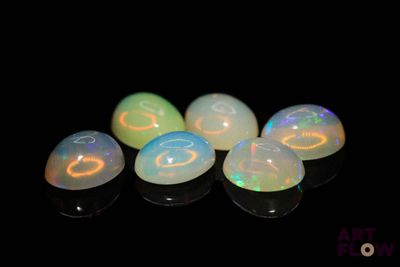 four white oplites are arranged in a row on a black surface