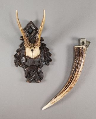 deux têtes d'antilope accrochées l'une à côté de l'autre au mur