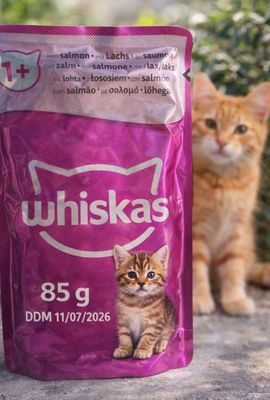 Lot d'environ 80 sachets de whiskas chat saumon de 85 gr DDM 11/07/202 - Photo 1