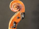 an image of a violin with a spiral neck on a black background