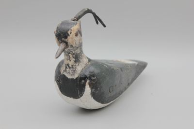 un vieil oiseau noir et blanc perché sur une surface blanche