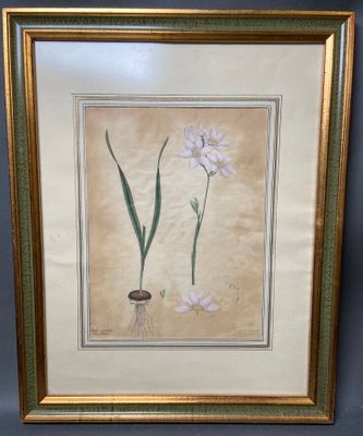 une photo représentant deux fleurs dans un cadre doré