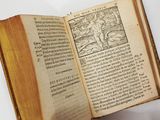 an open book with a picture of a tree on it