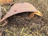 a rusted helmet sitting on the ground next to a tree