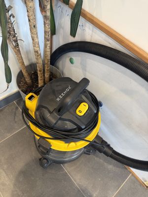 un aspirateur jaune et noir posé par terre à côté d'une plante en pot