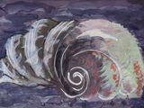 a painting of a seashell on a purple background