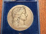 a close up of a medal in a blue box on a table
