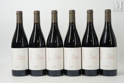 six bouteilles de vin sont alignées sur une surface blanche