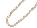 gros plan d'un collier de perles sur fond blanc