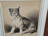 dessin encadré représentant un chien assis par terre devant un mur
