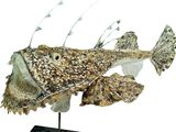 a sculpture of a fish on a stand on a white background