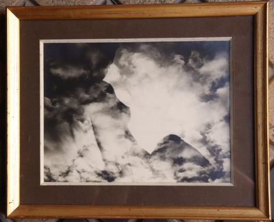 une photo en noir et blanc d'un oiseau volant dans le ciel