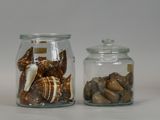 two glass jars with shells in them on a white surface