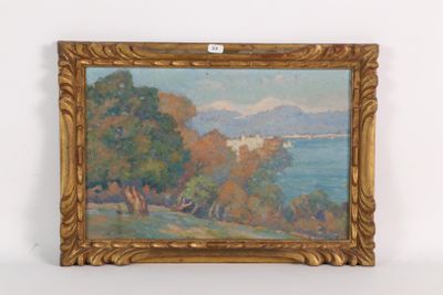 une image représentant un tableau représentant une vue sur un lac et des montagnes