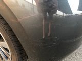 a cat that is standing on the side of a car