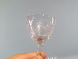 a person holding a wine glass in their hand