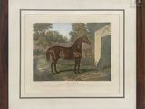 an old print of a horse standing in front of a barn