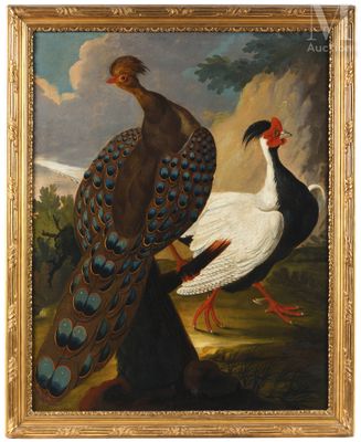 painting of a pair of pheasants in a landscape