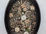 a picture of a picture of flowers in a black oval frame