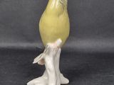a yellow bird sitting on top of a tree branch