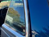 a dog that is sitting in the back seat of a car
