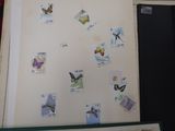 a refrigerator with magnets and pictures on it in the kitchen