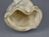 a white shell with a leaf on it on a gray surface