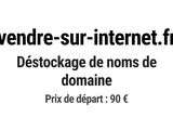 Photo 1/1 du lot