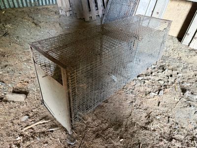 une cage dans laquelle se trouve un petit animal