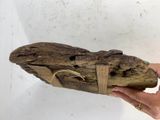a person holding a piece of drift wood in their hand