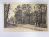 people riding horses on a dirt road in the woods