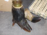 a bear claw with a bottle on it ' s foot