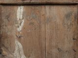 a cat that is sitting on top of a wooden door