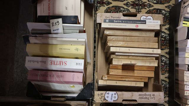 2 cartons : Lot de livres de littérature dont J.P. SARTRE. 