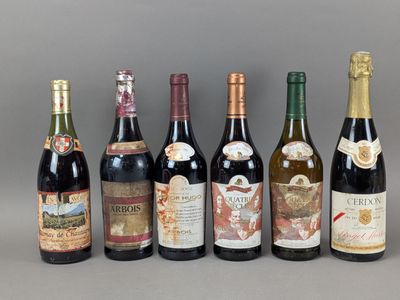 1 B Arbois (rouge), Henri Maire au Château Boichailles, Nais…