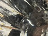 many forks and spoons wrapped in plastic bags