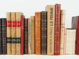 many books that are lined up together on a shelf