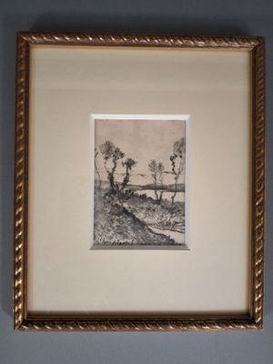 la photo d'une photo représentant un arbre, dans un cadre