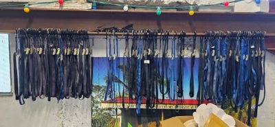 a bunch of leashes hanging from a rack in a room