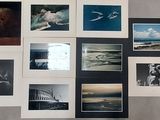beaucoup de photos accrochées au mur