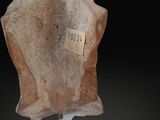 a close up of a piece of rock with a tag on it