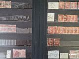 many different types of stamps on display in a case