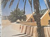 a picture of a palm tree in front of a building
