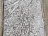 une représentation d'un navire sculptée dans un bloc de pierre