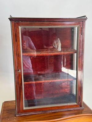 Quelqu'un prend une photo d'une vitrine dans laquelle se trouve un chat.