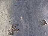 a silver plate with a bird on it on the ground