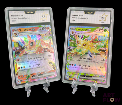 deux cartes Pokémon dans des pochettes en plastique sur fond noir